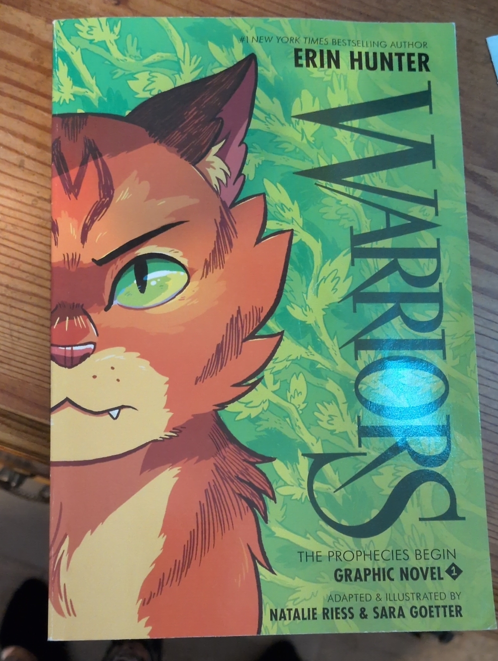 Warrior Cat Book 📚📖